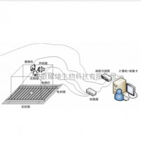 小动物多通道恐惧实验系统