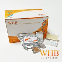 WHB-6-CS 圆形/方形/多聚赖氨酸 细胞爬片