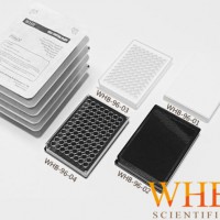 WHB-96-01 全黑全白96孔板