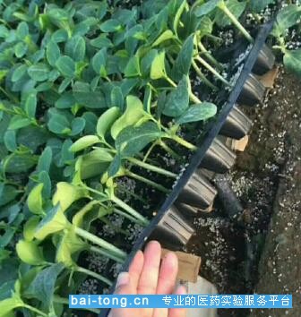QQ截图20191209101451